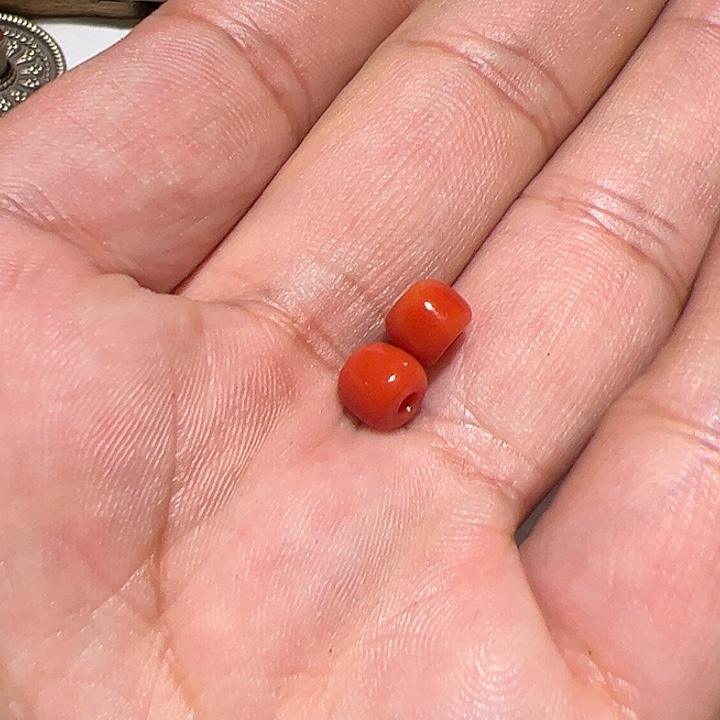 香榧木你的时候你