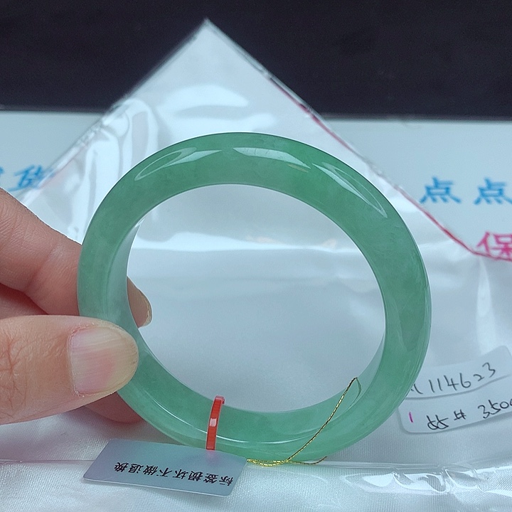 未镶嵌手镯翡翠55圈4623