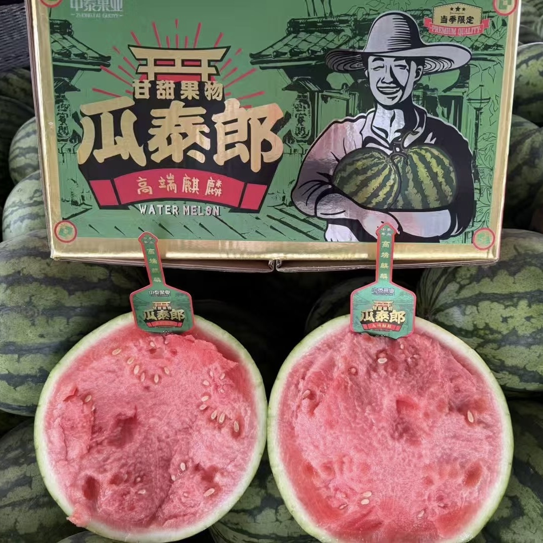 瓜泰郎 高端 云南无籽麒麟西瓜 4-10斤/颗