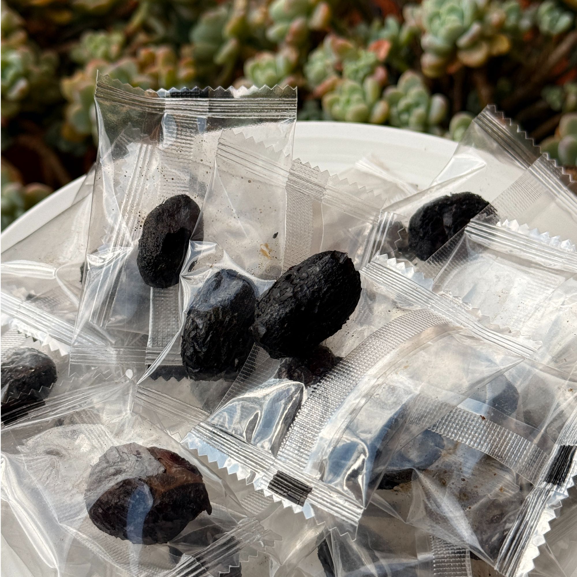 【依依源头分享】精选九蒸九晒黄芪枣