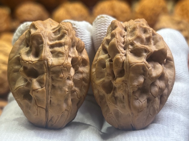 蝎子王个性款铁核桃