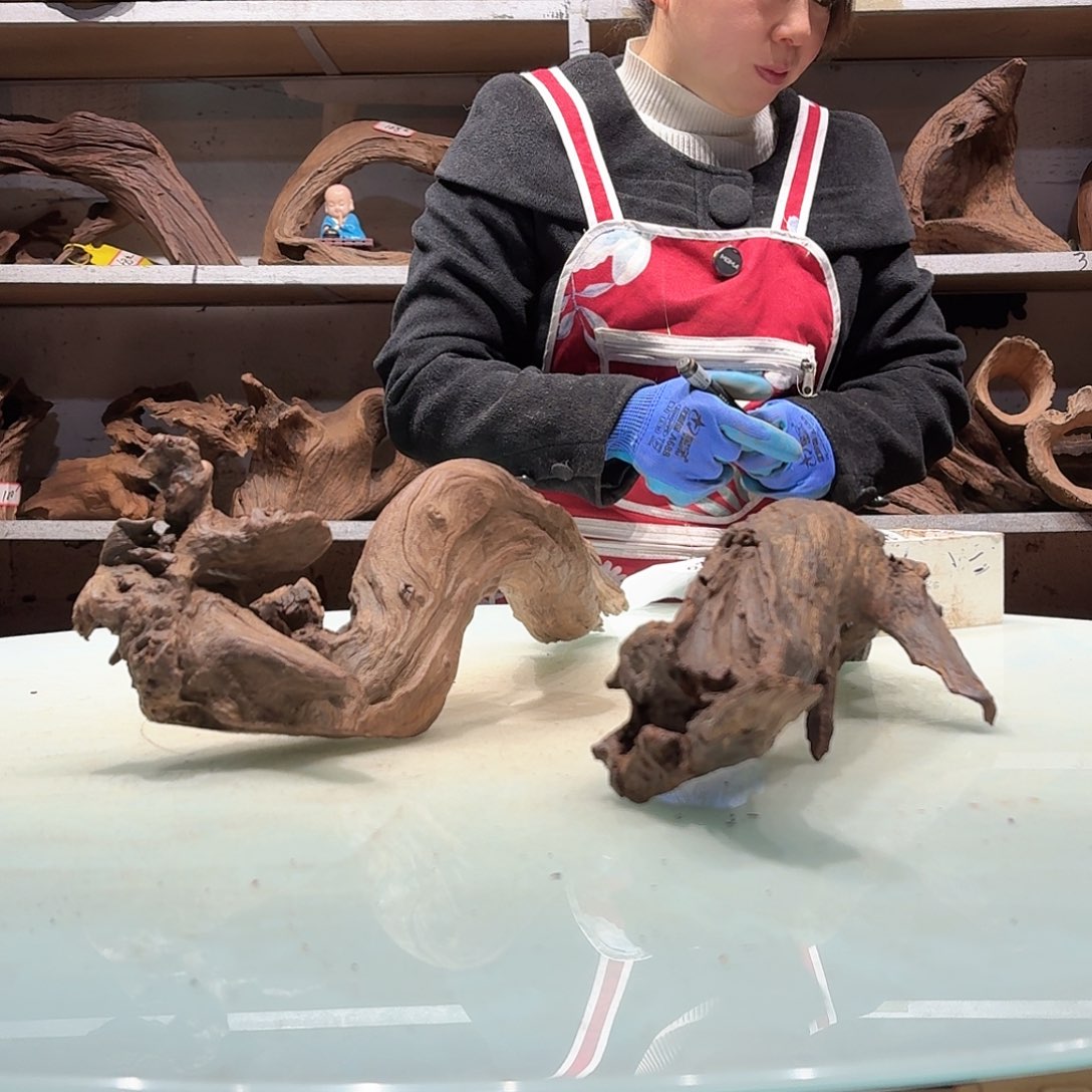 倍诸沉木,不包损必褪色鱼**丶5527-2