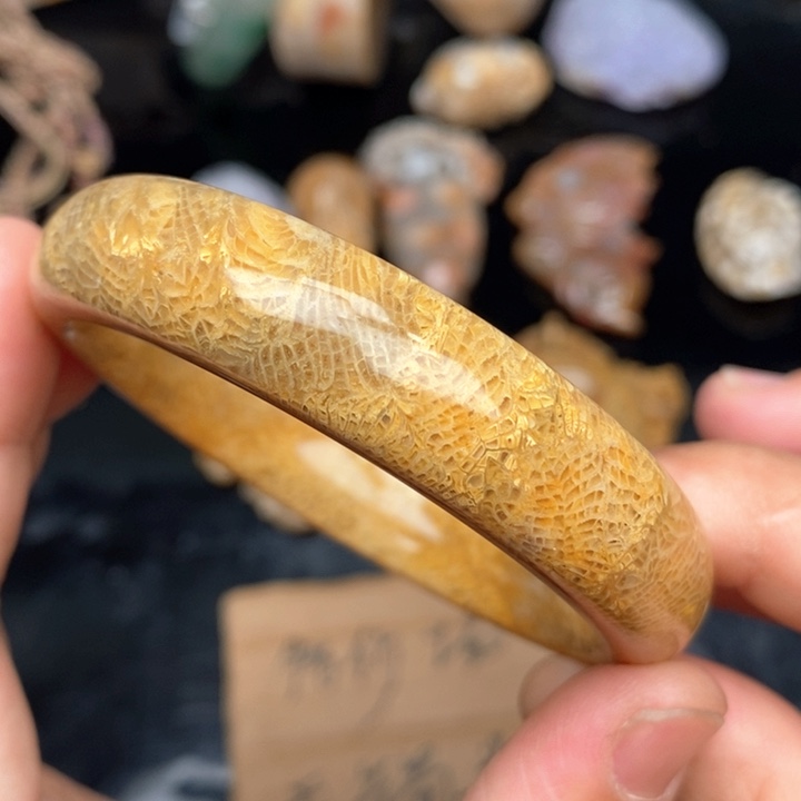 硅化珊瑚（珊瑚玉）手镯未镶嵌