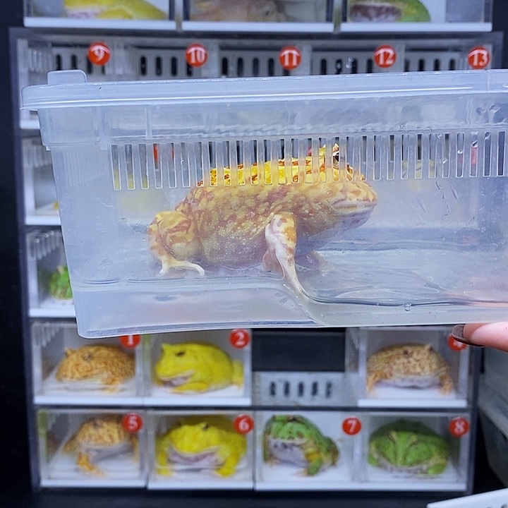 特价秒杀一切顺利