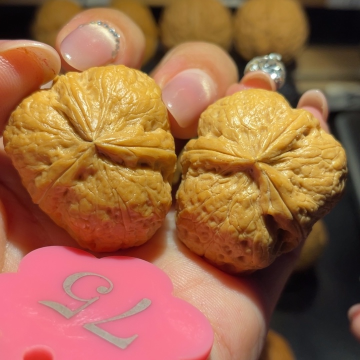 粗筋石斧核桃尺寸35