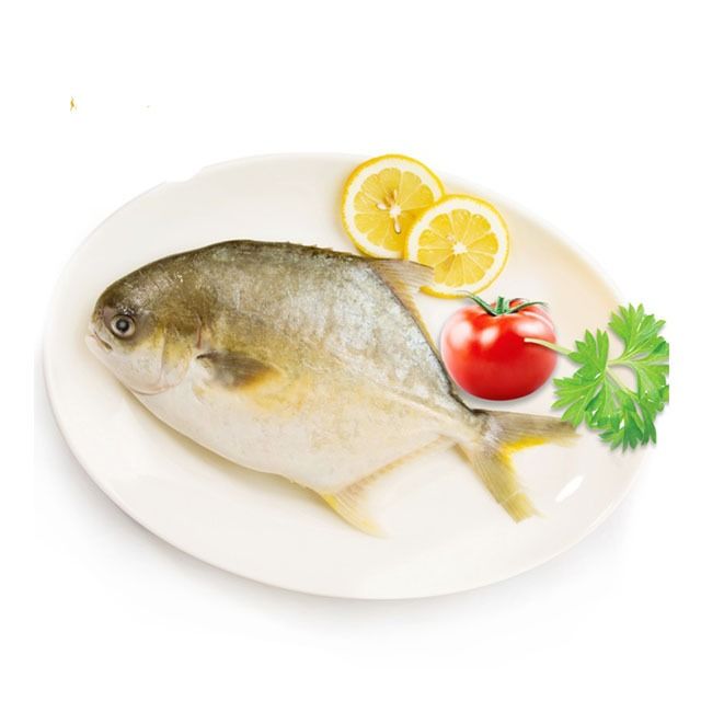黄立鲳约750g/份（海水冰鲜）