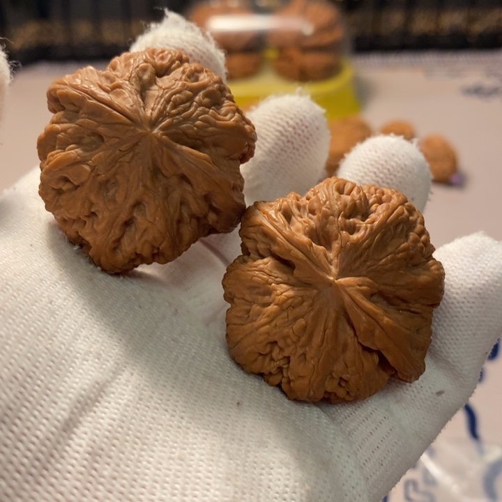 吊坠文玩核桃40平谷粗筋