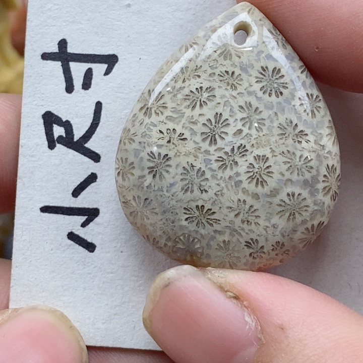 颈饰未镶嵌硅化珊瑚（珊瑚玉）