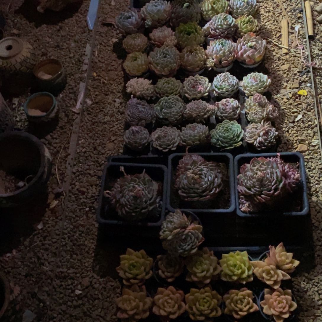 448的人在一起了。我在这里等你