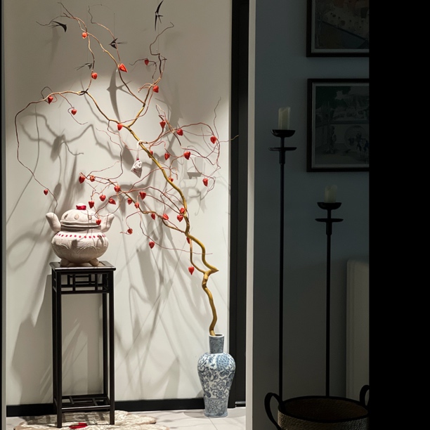 华灯初上|酸浆果龙柳室内秋冬氛围感果实可水培轻奢落地花材