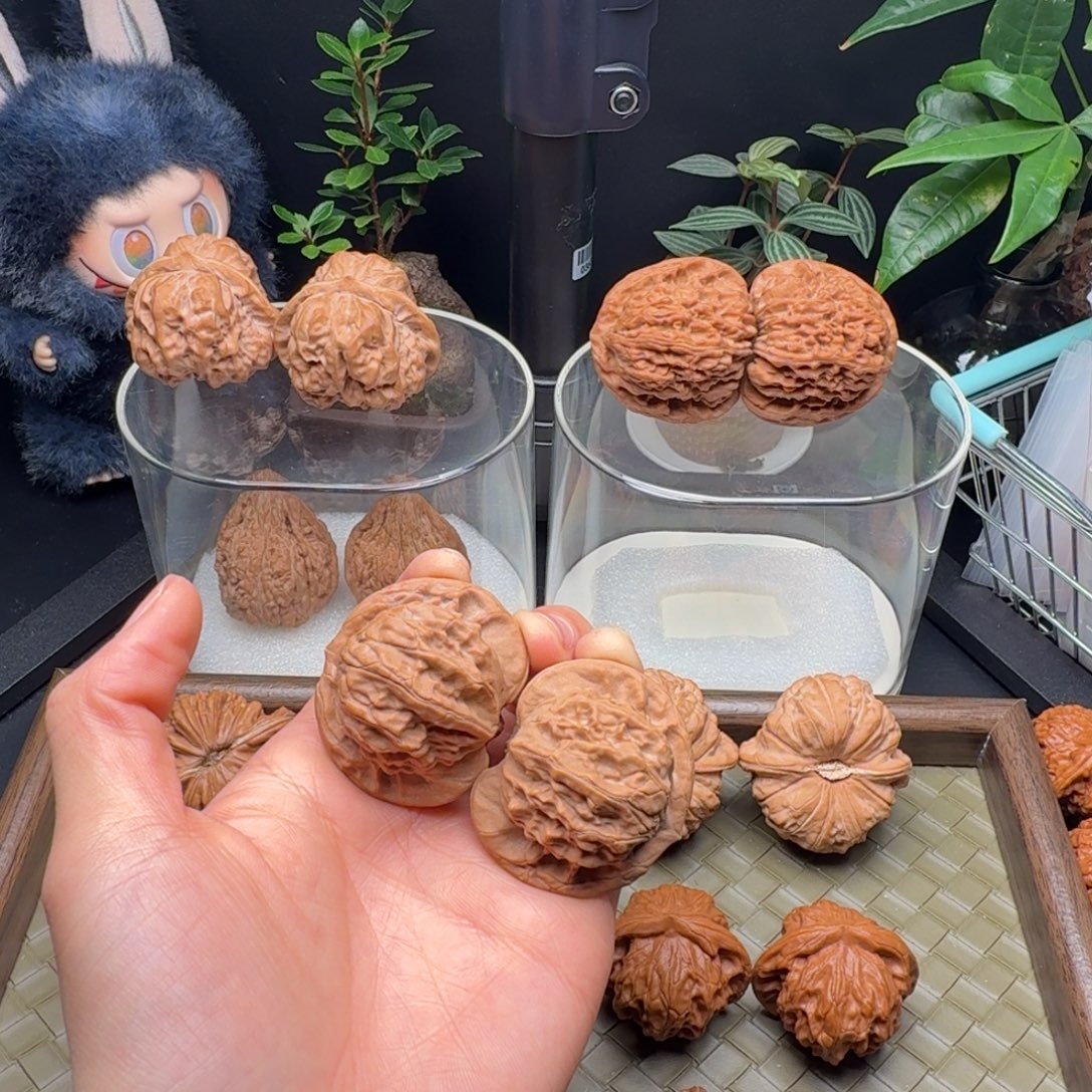 房***狗吊坠龙脊菩提全品图图42