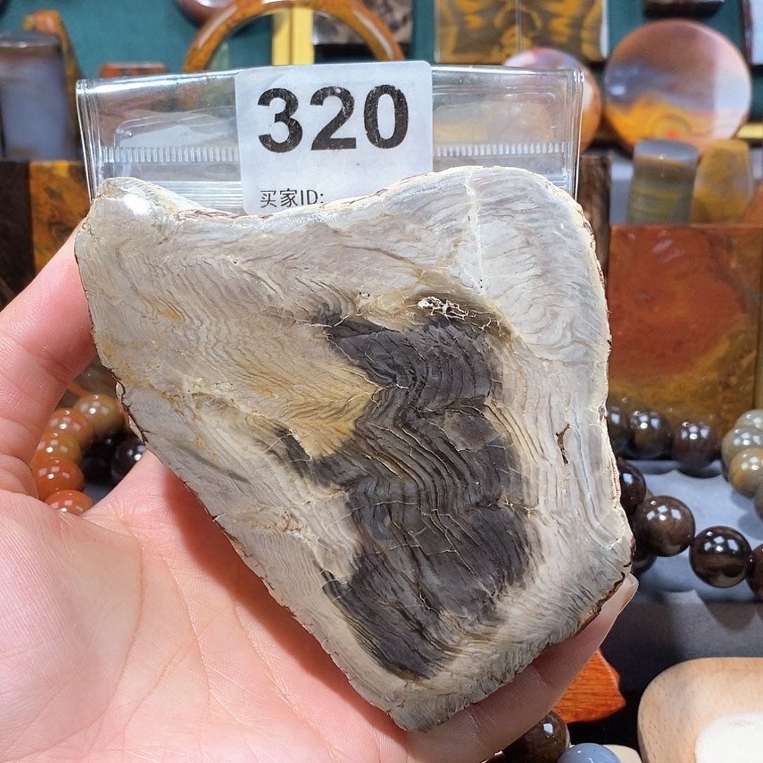 硅化玉天然北票硅化玉原石未镶嵌天然北票硅化玉原石