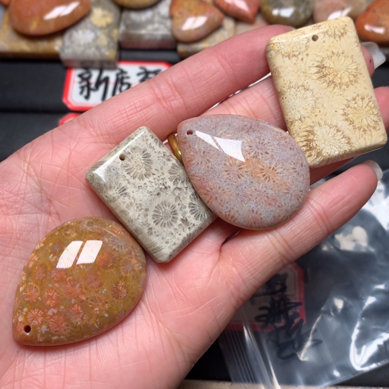 【闪购商品】硅化玉颈饰未镶嵌