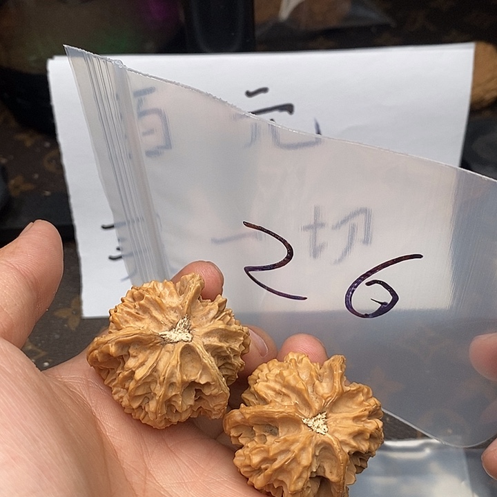 吊坠文玩核桃W4947949749749467694