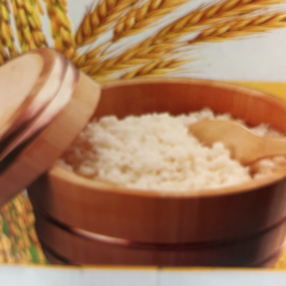 10斤庄河歇码杏（纯天然精品稻花香）