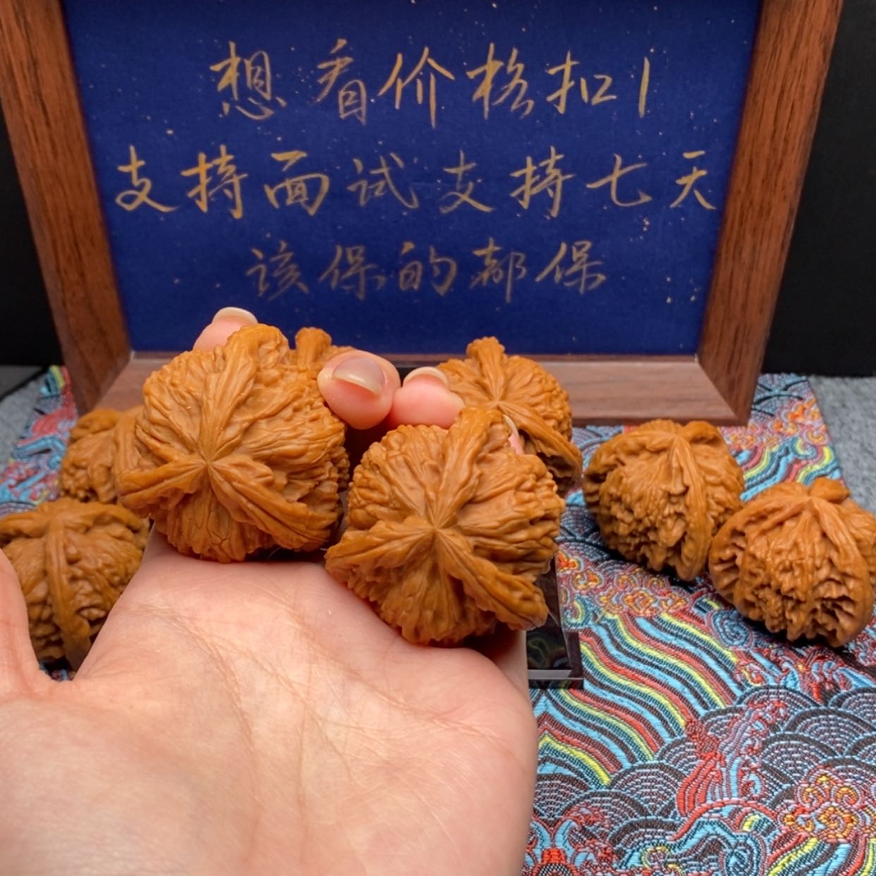 【闪购商品】不****鱼白狮