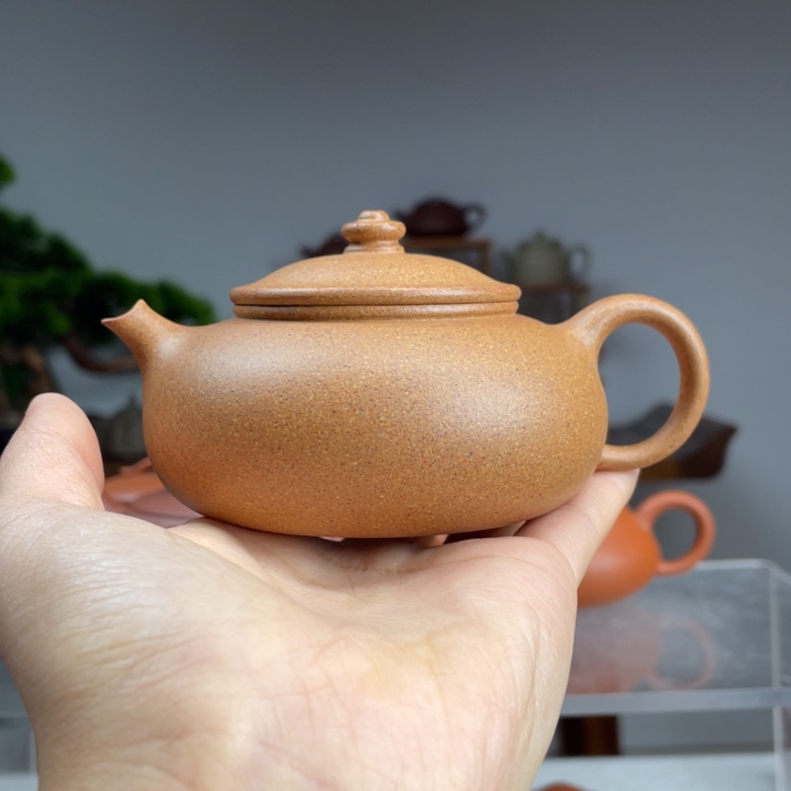 【闪购商品】紫砂茶壶小*月金黄段花块寒江容量150cc