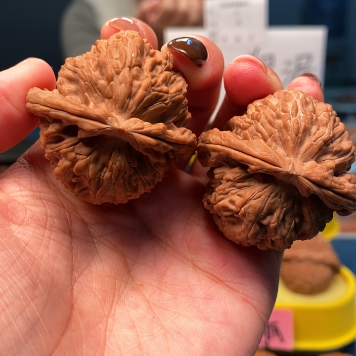 核桃手串/手链41尺白狮子全品