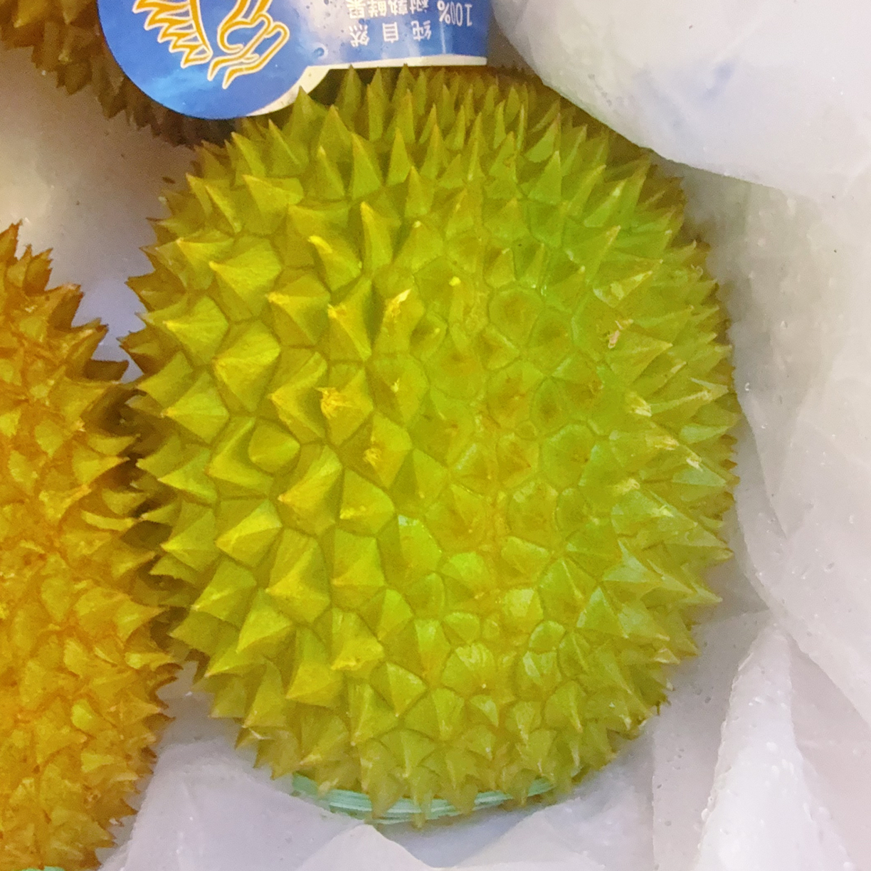 【同城小时达】猫山王鲜榴莲整果果核大小适中1-5斤软糯香甜猫山王马来西亚