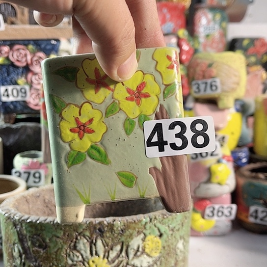 红陶多肉植物花盆