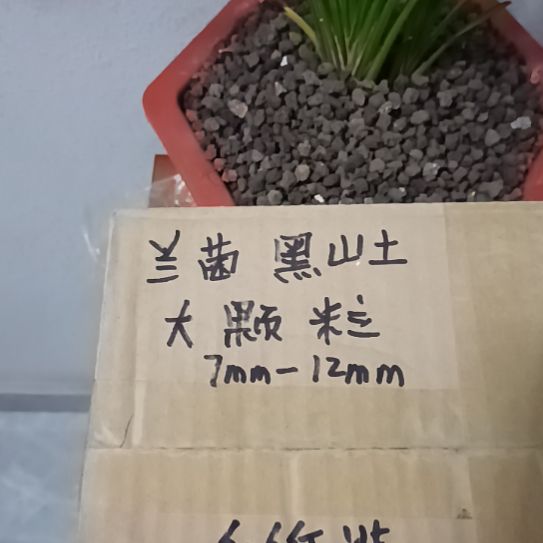 雨***蝶兰菌黑山土大颗粒土6.6斤
