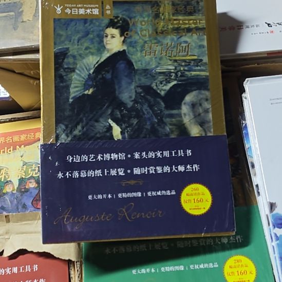 雷诺阿库存书库存书库存书