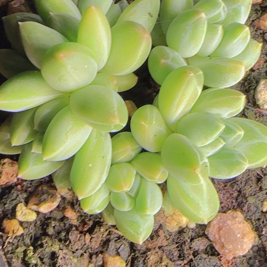 美**焕美轮美换寄养11111111111