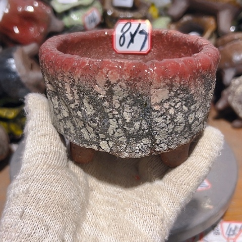 粗陶花盆，现在都不一样了么