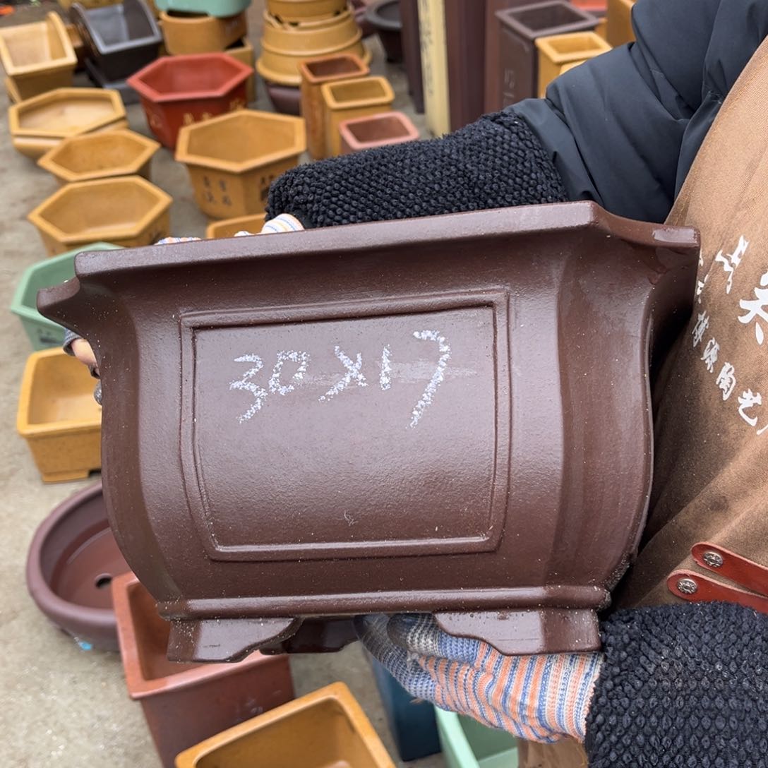 紫砂花盆盆景艺术