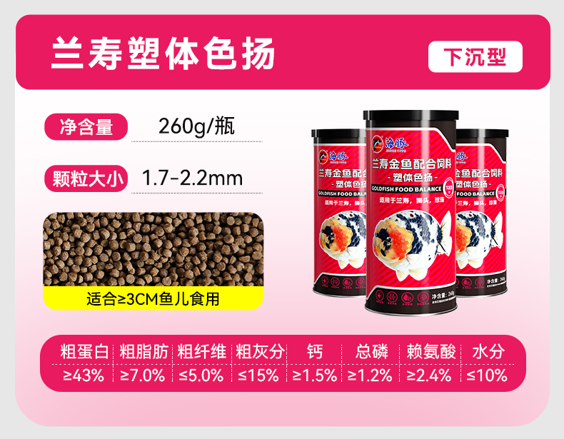 卷毛甄选金鱼高蛋白饲料，增体增色