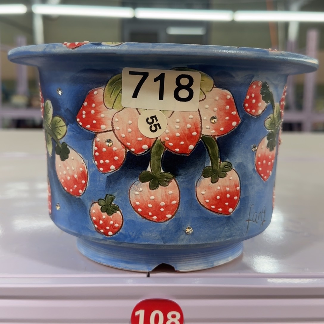 红陶田小姐多肉花盆