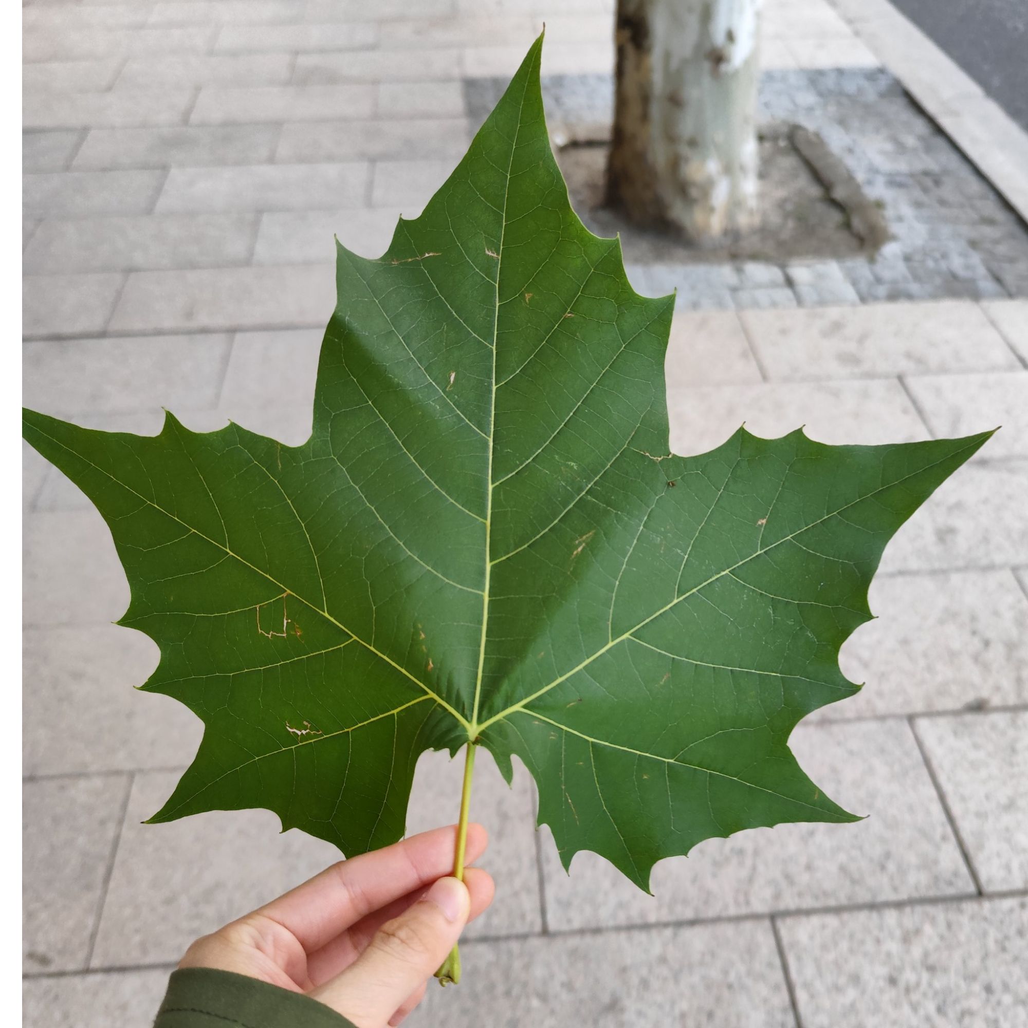 工艺品价格链接专用