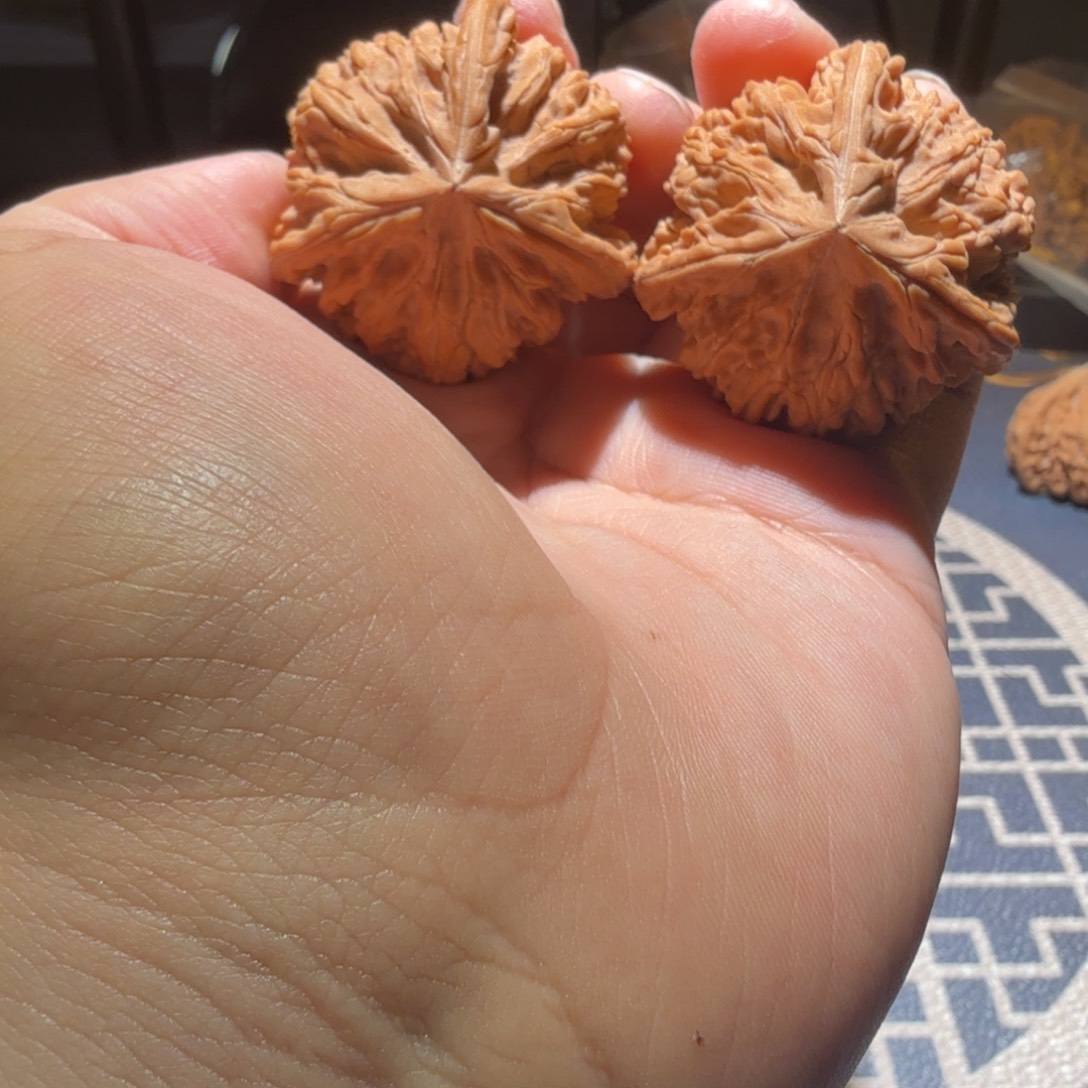 文玩核桃把件御龙