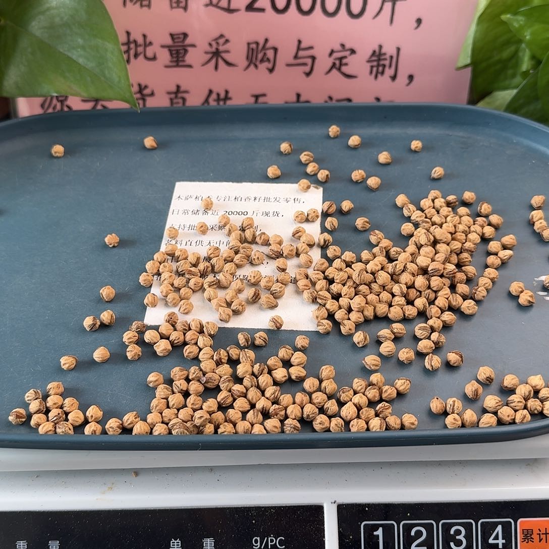 柏香籽/百香籽吊坠6+50克HY011