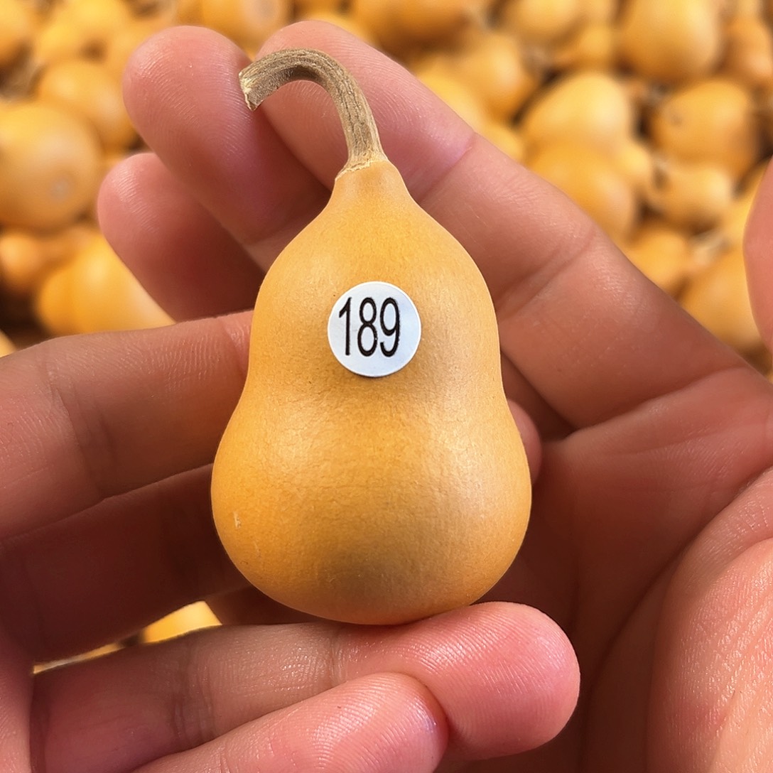 二葫芦葫芦葫芦葫芦189