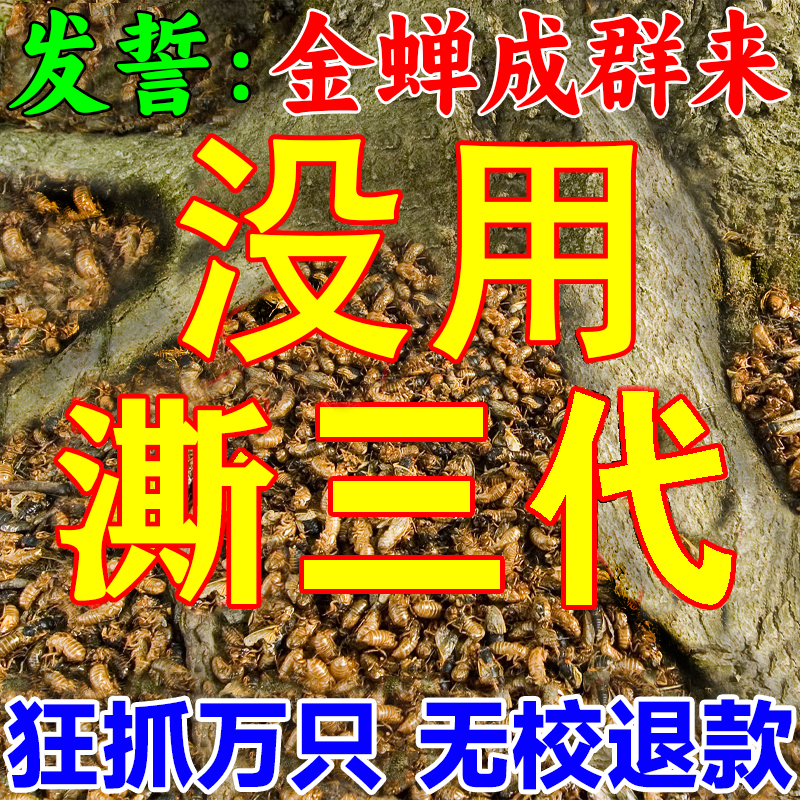 诱知了神器抓知了猴夜晚捕捉蝉野外户外树林幼虫金蝉出土专用神器