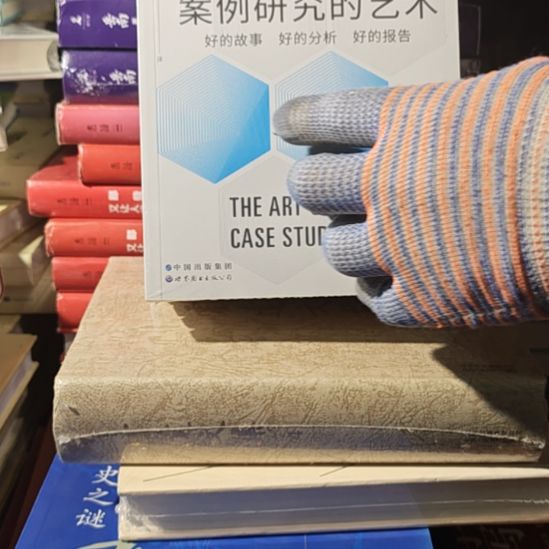 案例研究艺术平装库存书