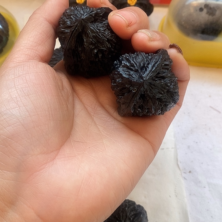 梓***熙地闷一物图不退换介意勿拍