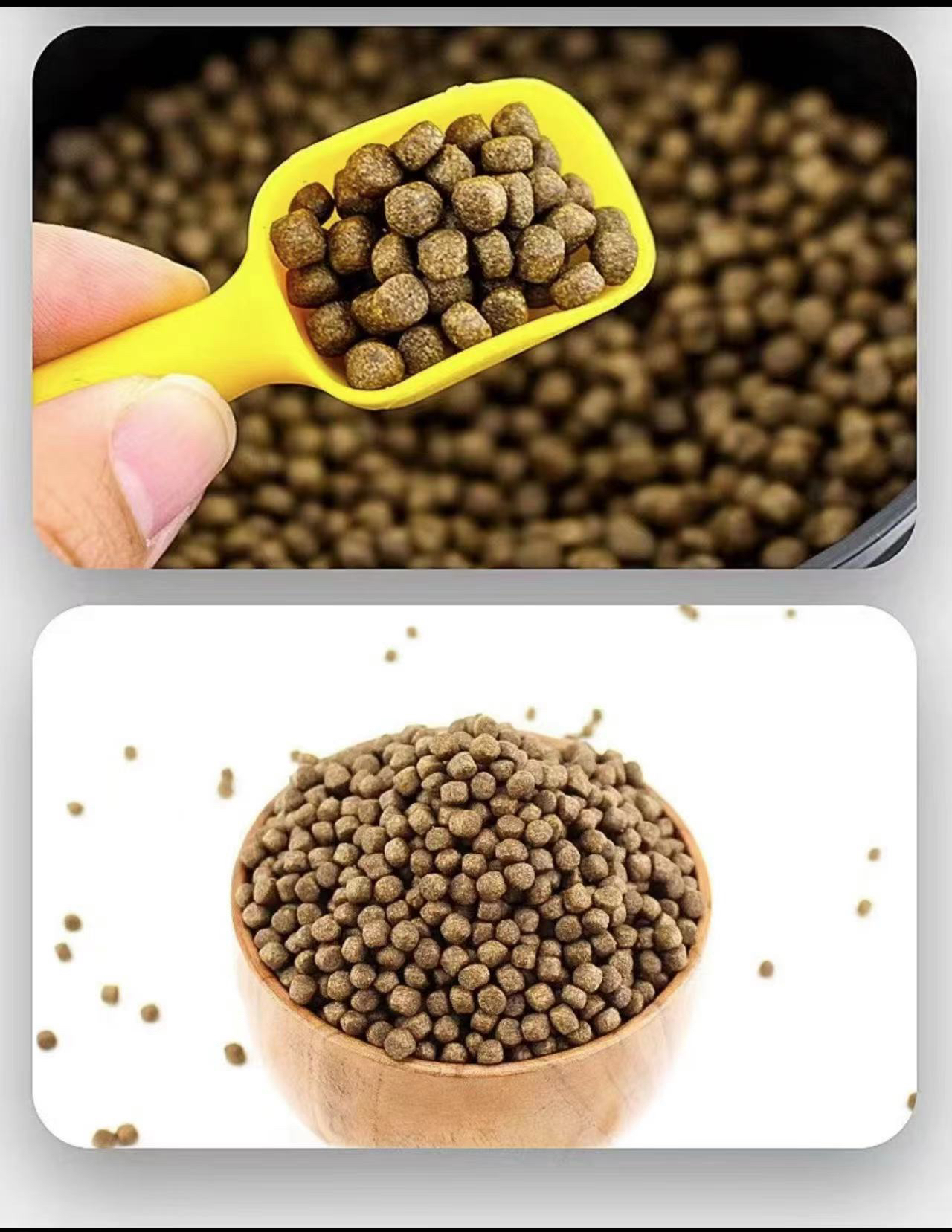 优质鳖粮 龟粮 放心吃