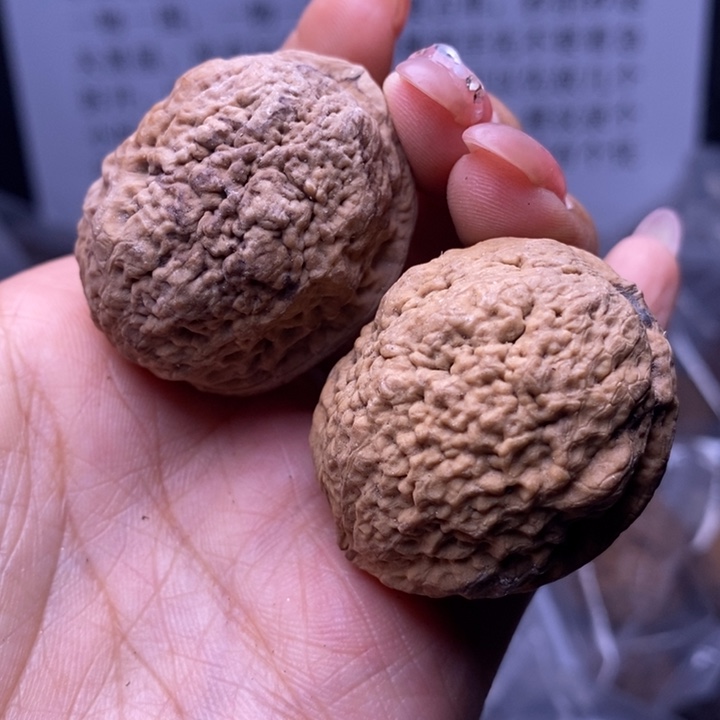 核桃云南野生铁核桃63号35mm