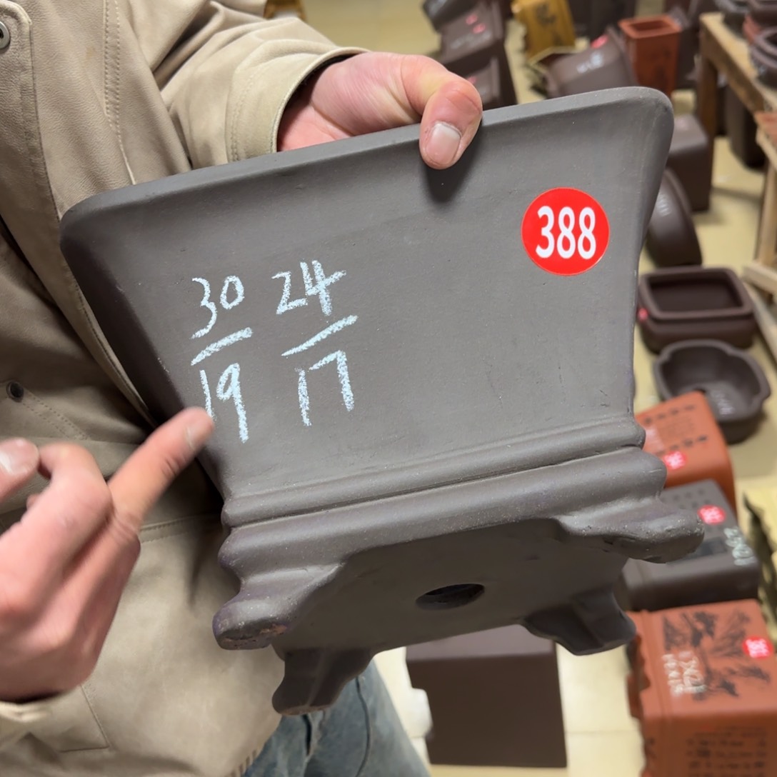 紫砂花盆呜呜呜呜