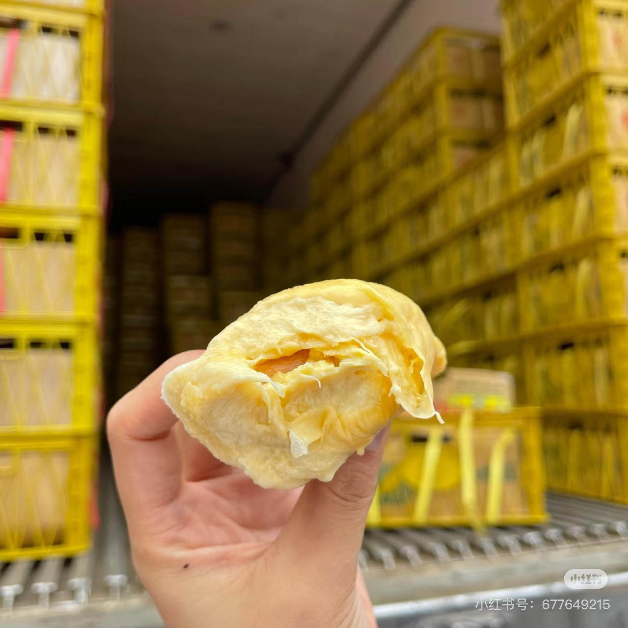 （博专属）新鲜干尧榴莲整箱批发4粒16-18斤核大榴莲同城送干尧越南社会主义共和国