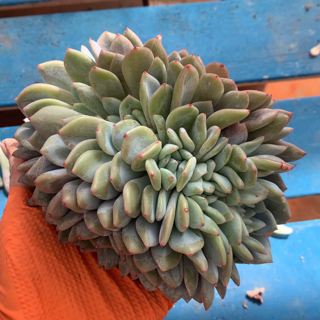 晴***@晴天0000000000000