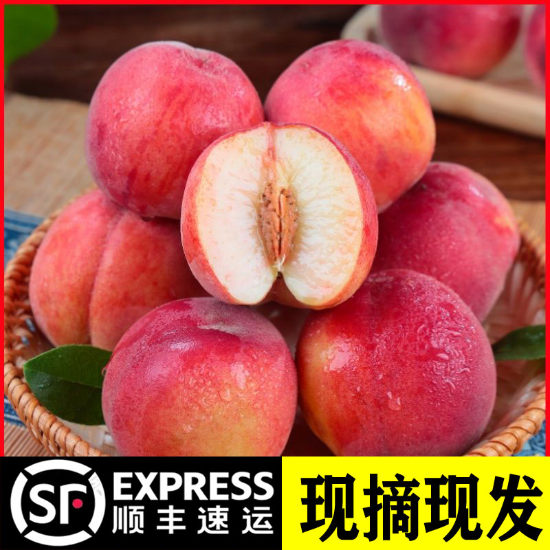 【顺丰】2025桃子正宗水蜜桃新鲜应季水果毛桃现摘脆桃脆甜蜜桃爆汁