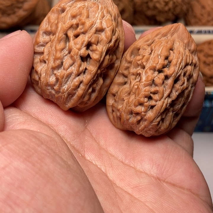 文玩核桃把件少****上代鱼