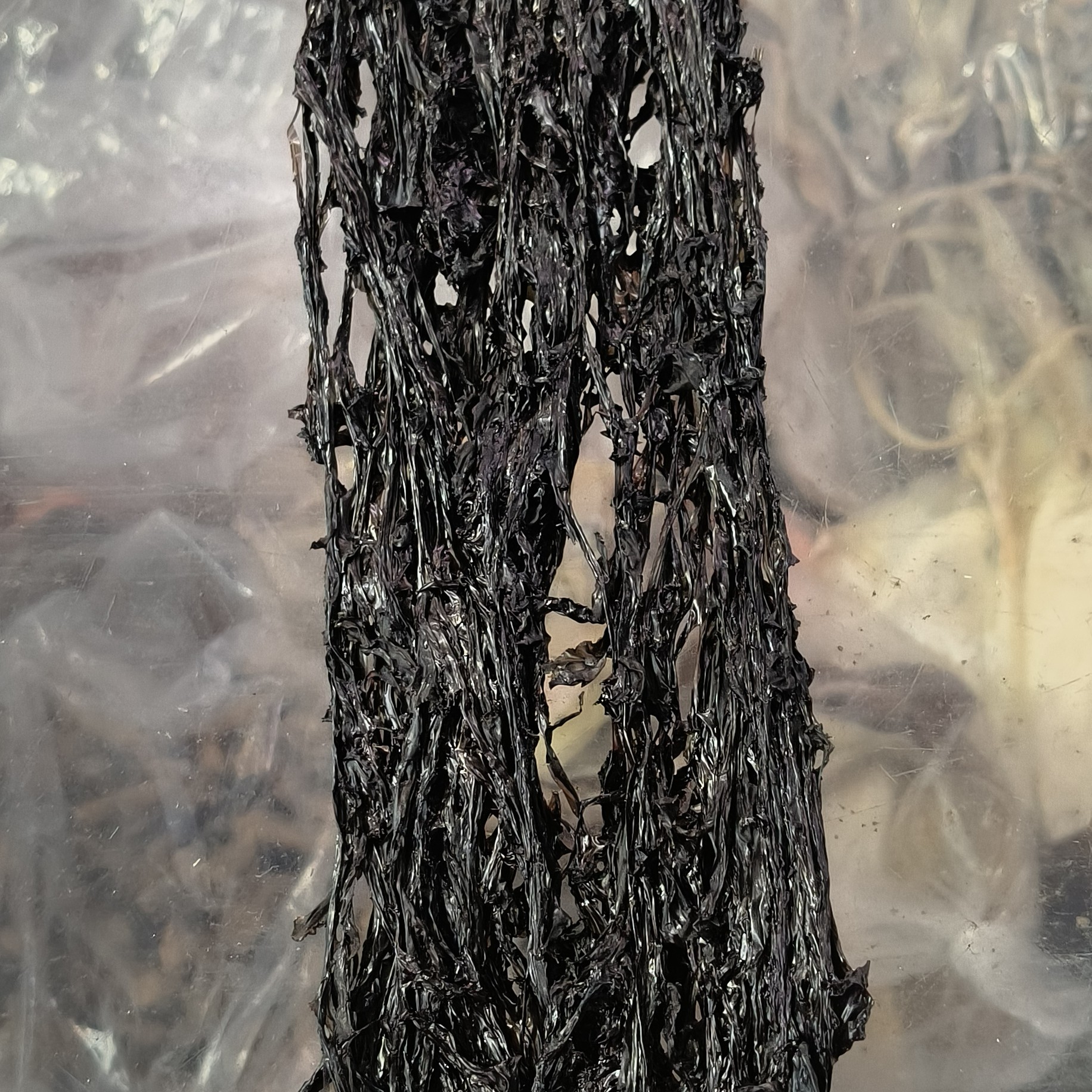 湄洲岛原汁原味的二水紫菜