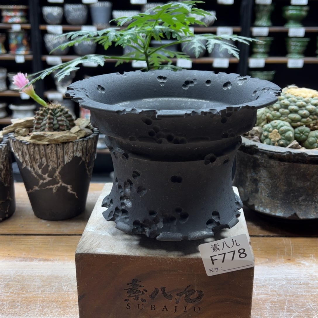 素八九陶瓷内口18.5高13