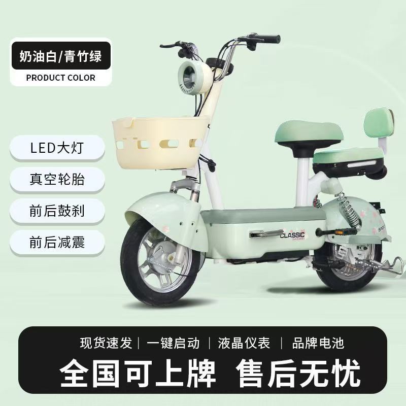新款EE电动车时尚两轮骑行电动自行车48v代步两轮车双人新款