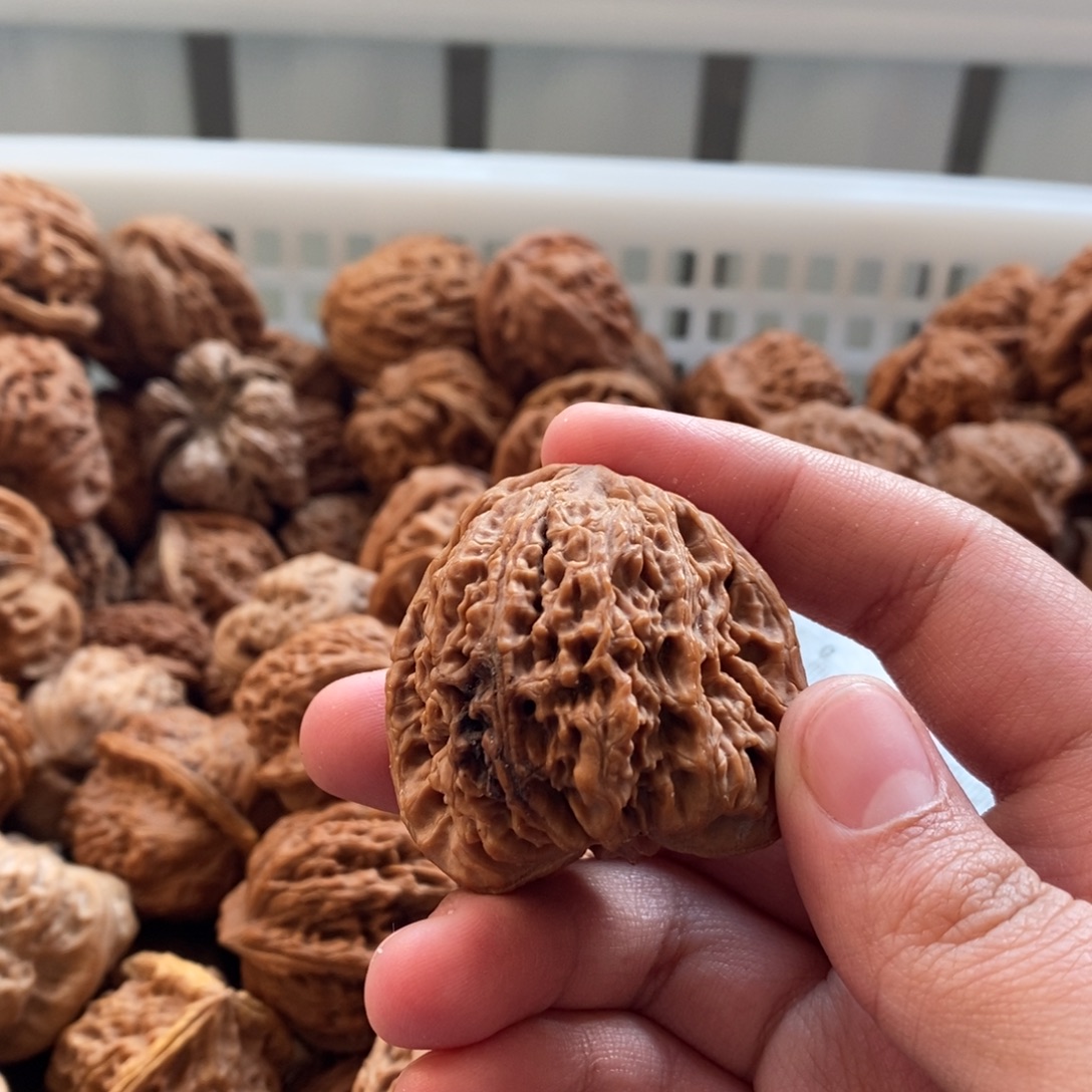 白***李吊坠文玩核桃文玩得开心的不得了