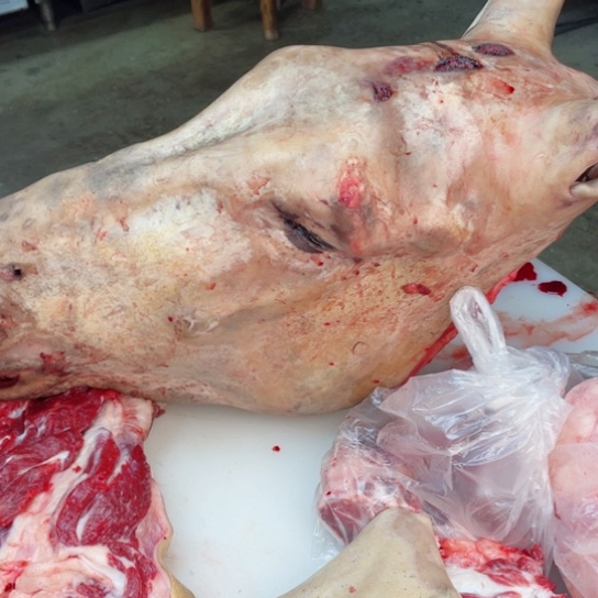 【闪购商品】冷冻保存30天包装河北省